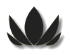 Halemist